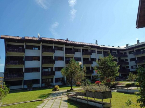 Orchidea Tarvisio